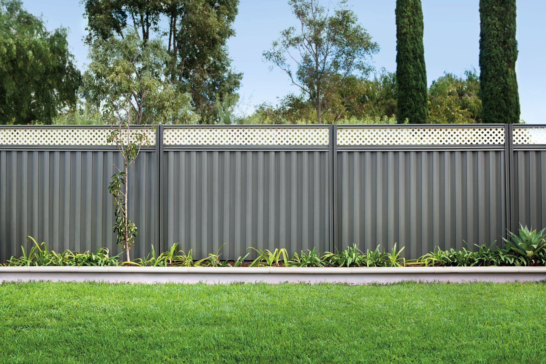 Fencing Contractor For Hire in Wangaratta
